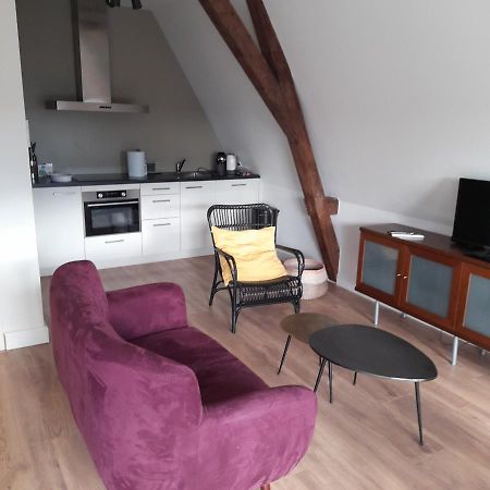 Historic Renovated Apartment With Balcony And Garden View Gouda Kültér fotó